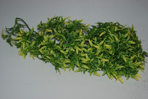 Vivarium large jungle plante - large,