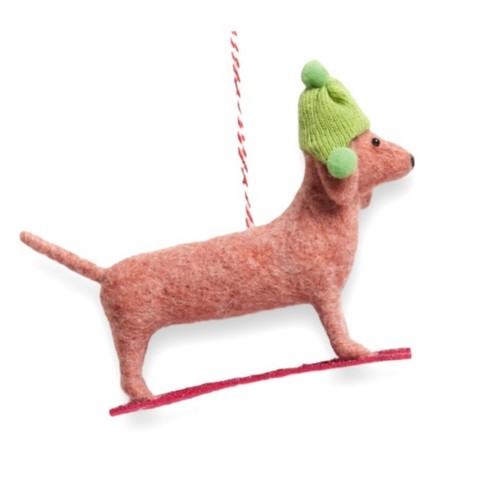 Wiener dachshund dog - dog, snowboard