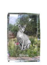 Sphynx cristal avec un chat