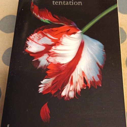 Stephenie meyer twilight - stephenie,