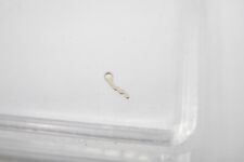 Joug à pignon mince Frédéric Piguet 1180/85-51.050