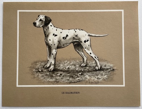 Chiens race le - chiens, de