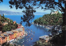 ITALY PORTOFINO PANORAMA AMONG OLIVE TREES