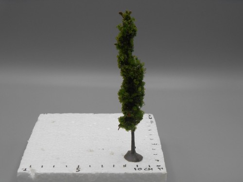 Arbre peuplier sur - pied, 13