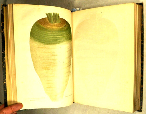 Journal agriculture pratique - journal,
