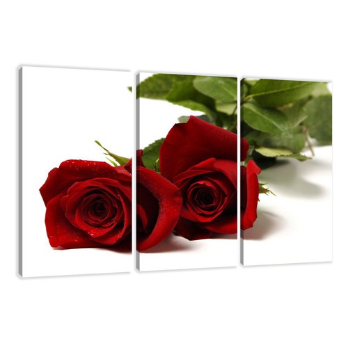 Images sur toile 160 - x, 90