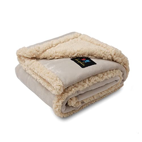Luciphia couverture - luciphia,