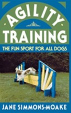 Agility Entraînement: The