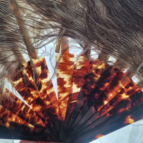Eventail ecaille ancien plumes - ancien,