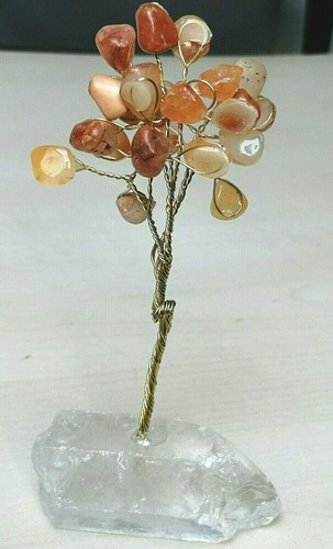 Bonzai arbre vie - arbre, de