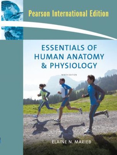 Essentiels anatomie - essentiels, de