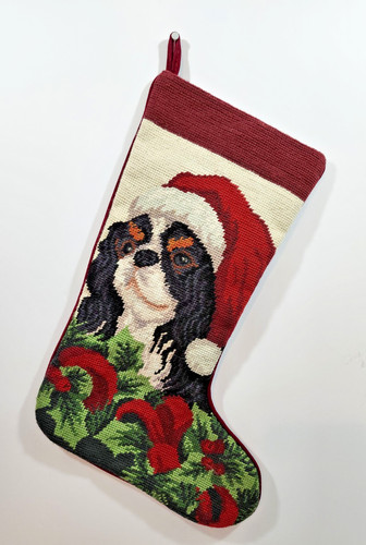 Cavalier king charles spaniel - cavalier,