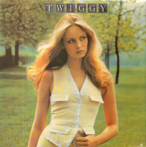 Twiggy gatefold near mint - twiggy,