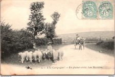 24641 postcard 58 In the countryside - in the middle of the road, the sheep