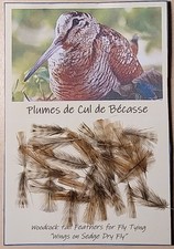 30 Plumes de Cul de Bécasse pour ailes de Sedges, pour hameçons 14 ou 16. 