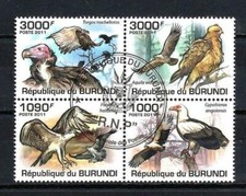 Animaux Oiseaux Rapaces