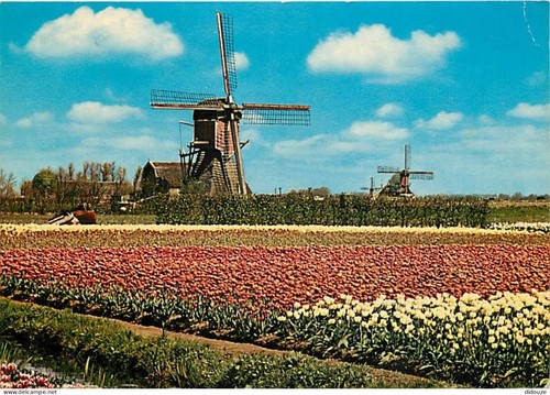 Carte postale moulin à - carte,