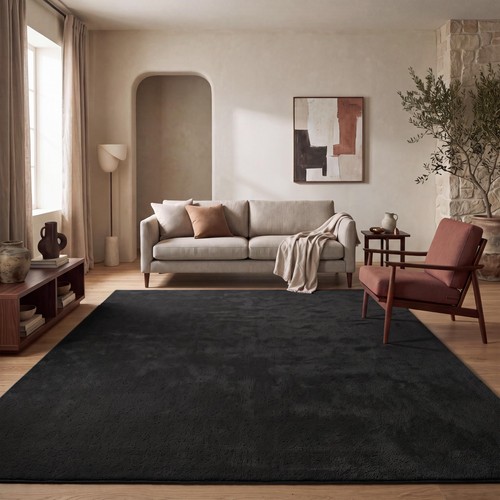 Tapis salon chambre adulte - tapis,