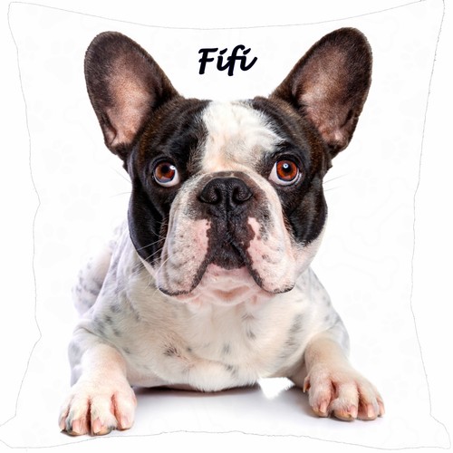 Coussin chien bouledogue - chien,