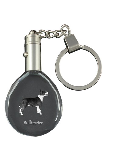Bull terrier bullterrier - bull, terrier,