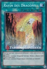 Yu-Gi-Oh! Ravin des Dragons 