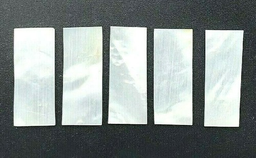 Nacre incrustation 1 - 5x,