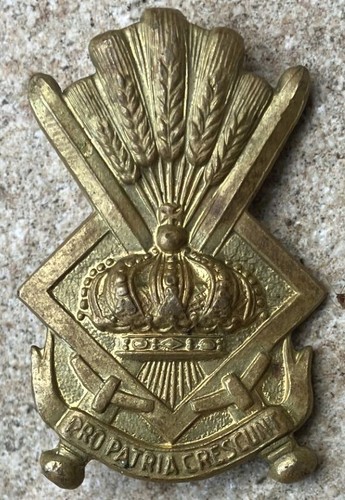 Insigne armée belge ecole - armée,