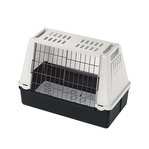 Transport chiens pour voiture - chiens,