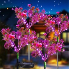 Lampe Solaire Orchidée