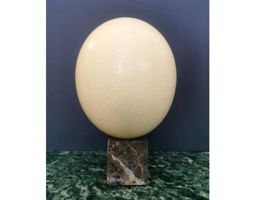 Ostrich egg brown marble stand - ostrich,