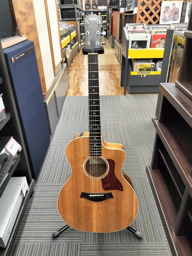 Guitare électrique acoustique