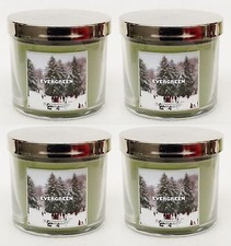 4 Bath & Body Works EVERGREEN