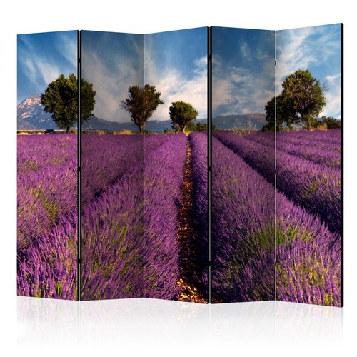 Paravent volets lavender - volets, "lavender