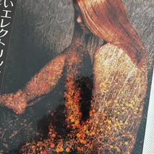 Leçon d'orgue électrique HIDEKO KOJIMA pour jeune homme JAPAN ORIG LP SEXY CH...