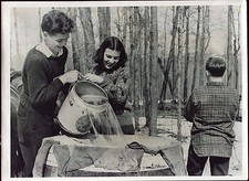 photo ancienne . Etats-Unis . Vermont . récolte du sirop d'Erable
