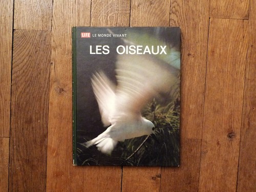Les oiseaux le - les,