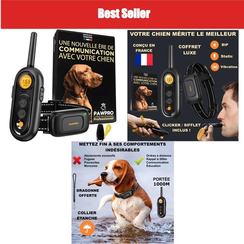 Collier dressage chien pawpro - chien,