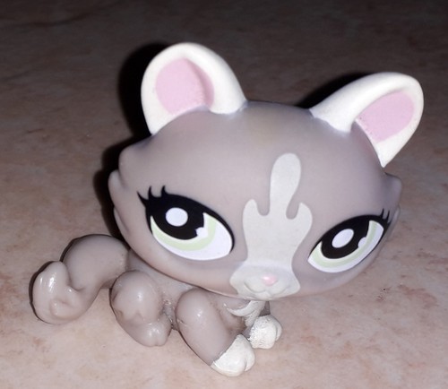 Petshop chat sphynx 1370