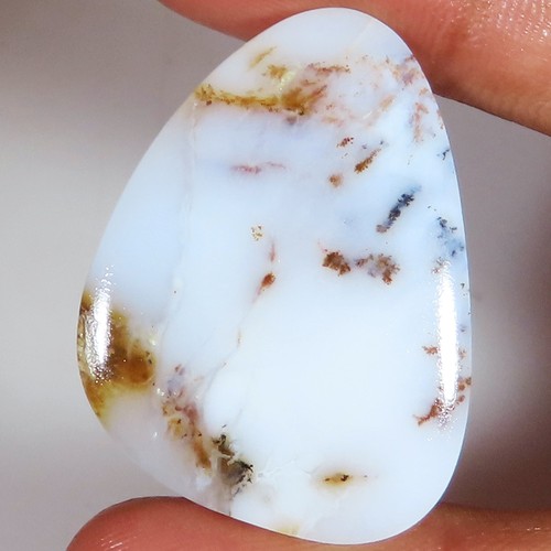 Cabochon agate dendritique - cabochon, en