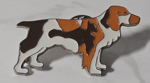 Pin chien epagneul - chien,