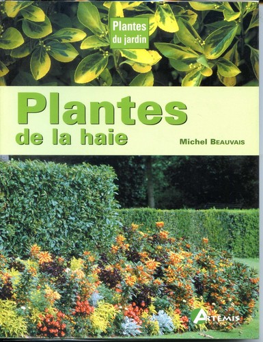 Plantes haie michel - haie,
