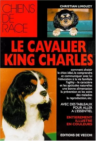 Cavalier king charles - cavalier,