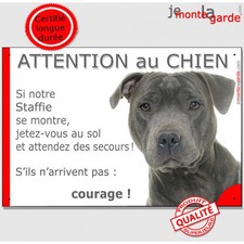 Staffie bleu plaque portail