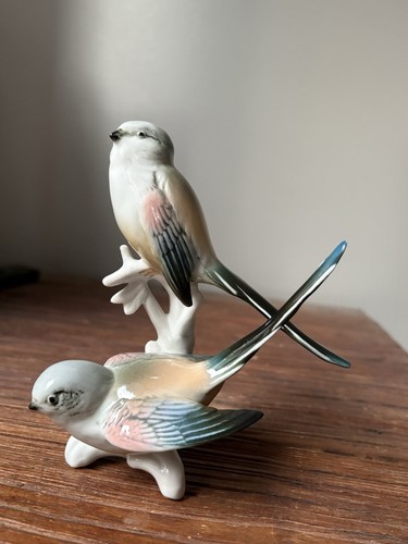 Couple oiseaux en - couple, d