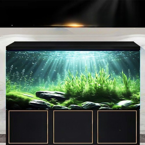 Aquarium plante aquatique - aquarium,