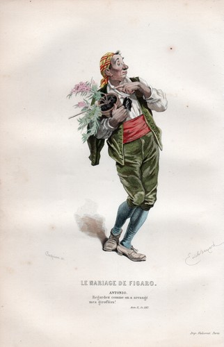 Marriage figaro - le,