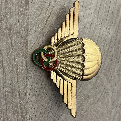 Insigne parachutiste - parachutiste,