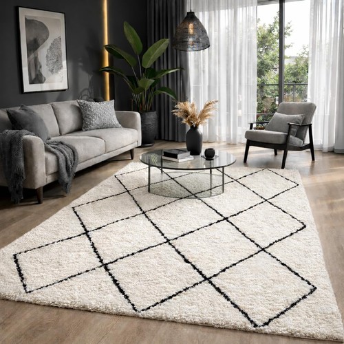 Tapis salon shaggy poils - salon,