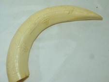 Corne de phacochère sculpté