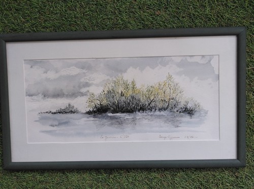 Peinture aquarelle garonne - aquarelle,